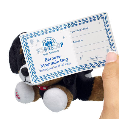 Build-A-Bear Mini Beans&reg; Promise Pets&trade; Bernese Mountain Dog Soft Toy