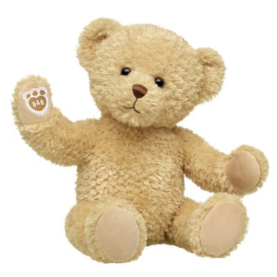 Keepsake Teddy Bear