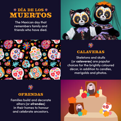 Día de los Muertos Cat Soft Toy Dress Gift Set