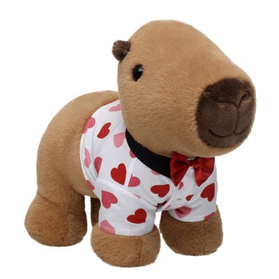 Capybara Soft Toy Valentine's Day Gift Set