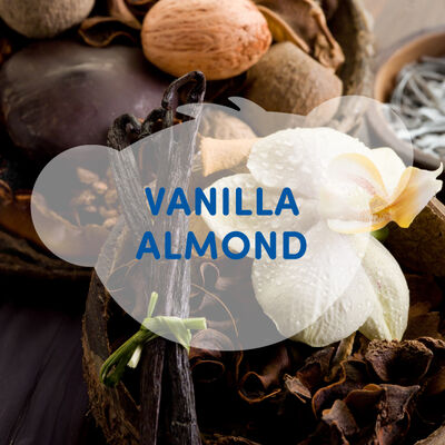 Vanilla Almond Scent