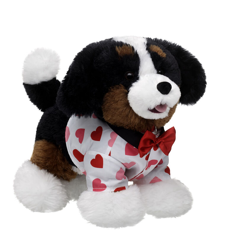 Promise Pets Bernese Mountain Dog Stuffed Animal Valentine's Day Gift Set plush by Build-A-Bear