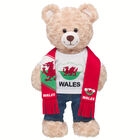 Wales Scarf and T-Shirt Set by Build-A-Bear