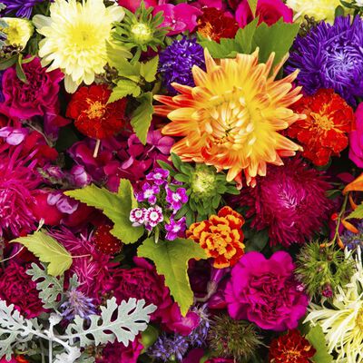 Floral Bouquet Scent