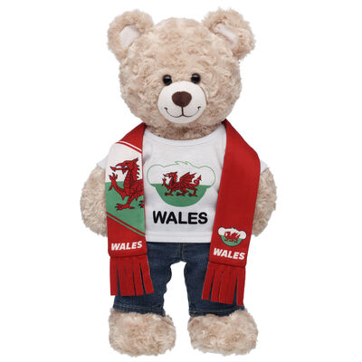 Wales Scarf and T-Shirt Set