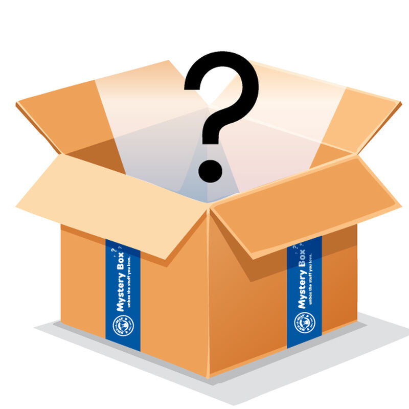 Build-A-Bear Mystery Box