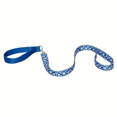 Promise Pets&trade; Blue Leash