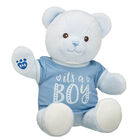 Baby Blue Teddy Bear "It's a Boy" Gift Set - Build-A-Bear Workshop®