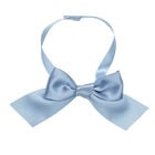 Blue Ribbon Gift Bow