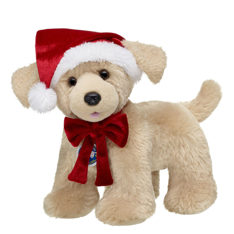 Promise Pets&trade; Golden Retriever Stuffed Animal Santa Gift Set - Build-A-Bear Workshop