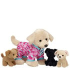 Promise Pets&trade; Golden Retriever Stuffed Animal Litter Gift Set - Build-A-Bear Workshop