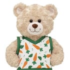 Carrot Sweater Vest