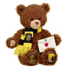 Online Exclusive HUFFLEPUFF™ House Bear with Scarf and HOGWARTS™ Acceptance Letter
