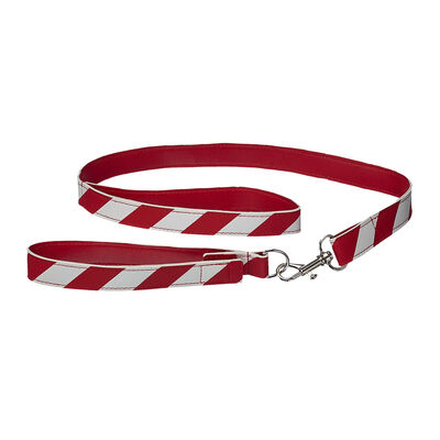Candy Cane Leash & Collar Set 2 pc.