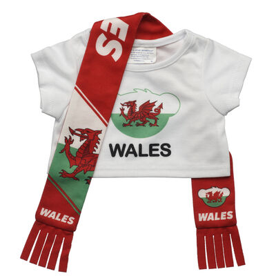 Wales Scarf and T-Shirt Set