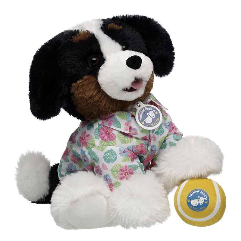 Promise Pets Bernese Mountain Dog Stuffed Animal Tennis Ball Gift Set plush by Build-A-Bear