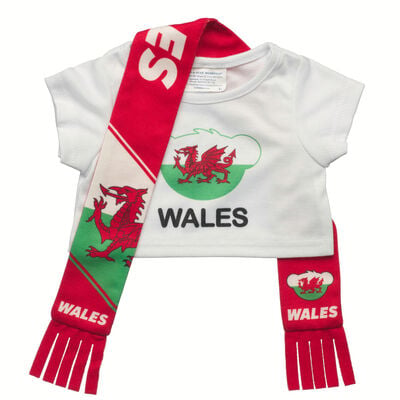 Wales Scarf and T-Shirt Set