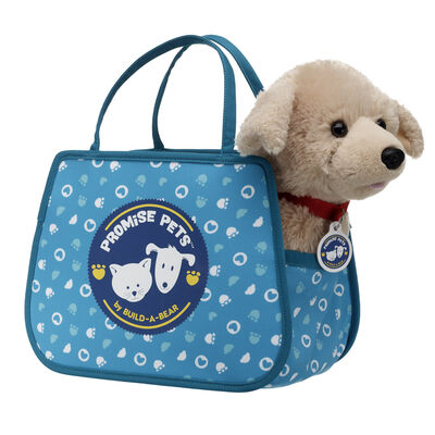 Promise Pets&trade; Teal Pet Carrier
