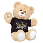 Cuddly Brown Teddy Bear New Year Gift Set