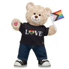 Happy Hugs Teddy Bear Pride Flag Gift Set