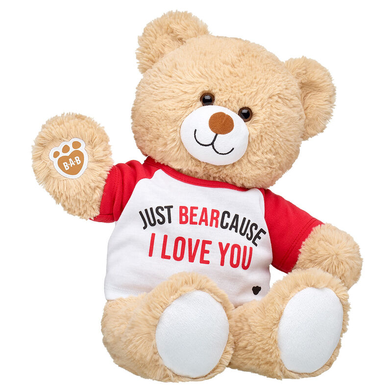 Online Exclusive Cuddly Brown Bear Just BEARcause Gift Set
