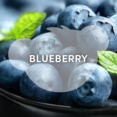 Blueberry Scent 