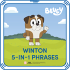 Winton 5-in-1 Phrases by Build-A-Bear