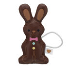 Chocolate Bunny Wristie