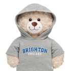 Brighton Hoodie