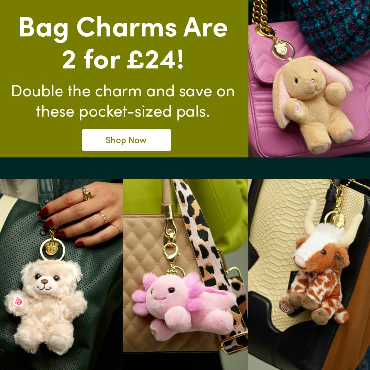 Bag Charms 2 for &pound;24